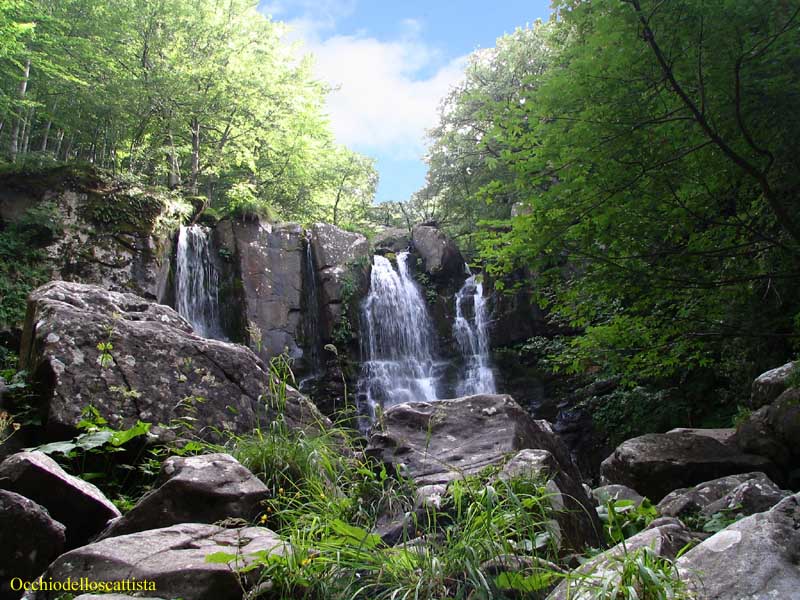  Image name: 02-cascate del dardagna.jpg 
 width: 800 pixel 
 height: 600 pixel 
 Size: 109797 bytes 
 Click to enlarge 